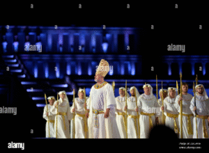 Professional experience